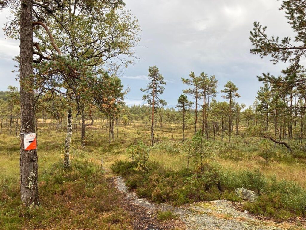 Thumbnail for Tur-O Sesongavslutning 2021